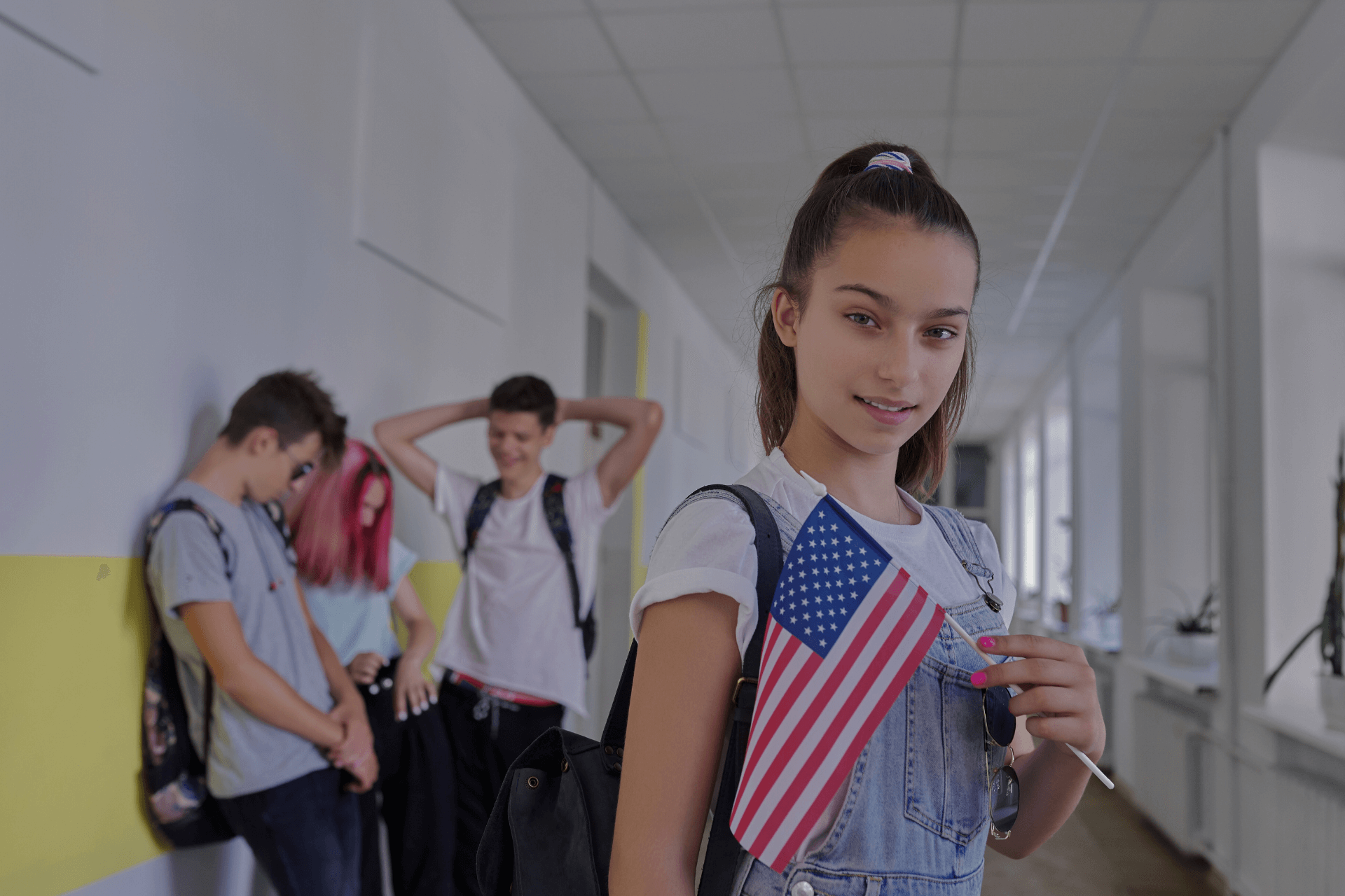 niveles de estudio en estados unidos